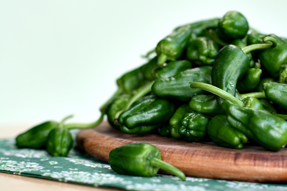 PImientos de Padron 583p
