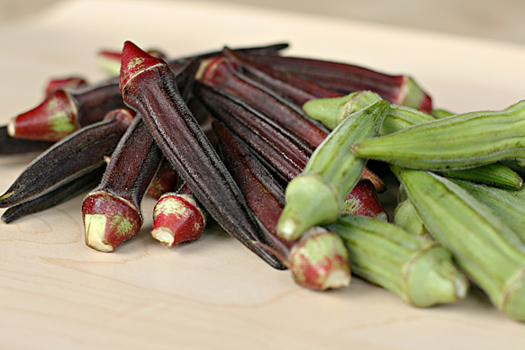 IMG_9143 burgundy and green okra