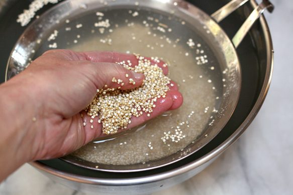 Quinoa 1