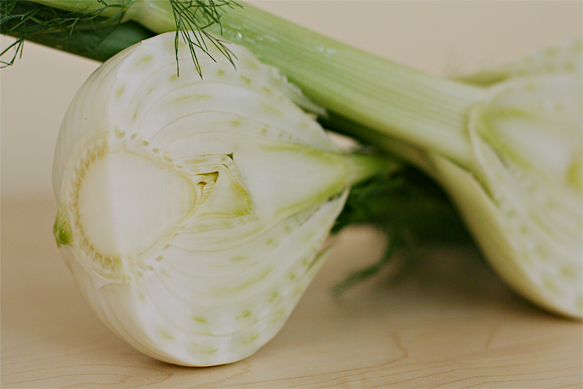 Fennel bulb