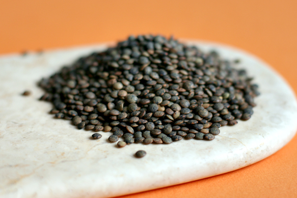 Lentilles du Puy 370x555