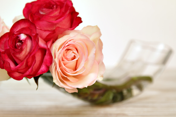Pink and red roses-macaroni vase 583p
