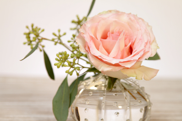 Pink rose-single 583p