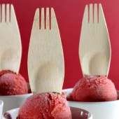 Bamboo plates and "sporks": disposables you can feel good about!