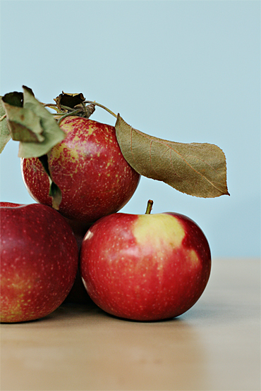 Three apples in the sun
