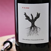 Dominio de Pingus, Ribera del Duero Ψ PSI 2009, paired with orecchiette