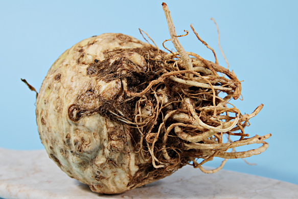 Celeriac, celery root, celery knob