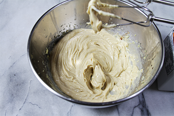 IMG_8706 Homemade mayonnaise-10