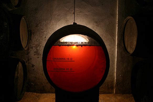 Sherry barrel with flor